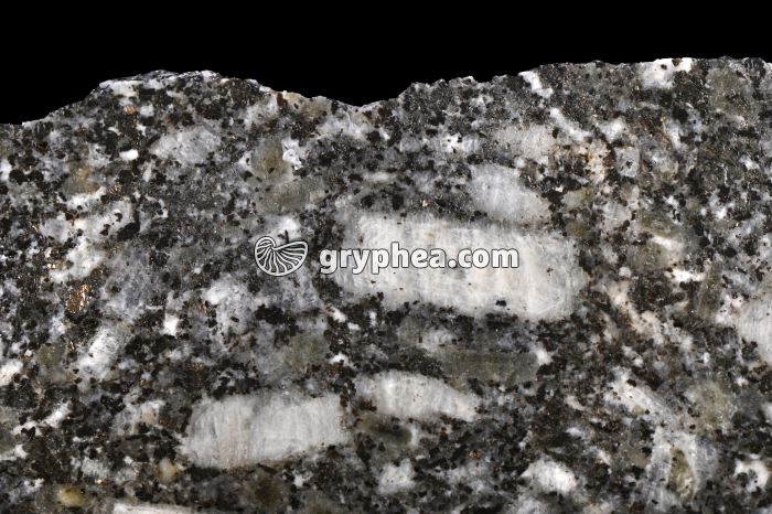 Granite des crêtes - détail (Vosges, France) - gryphea.org